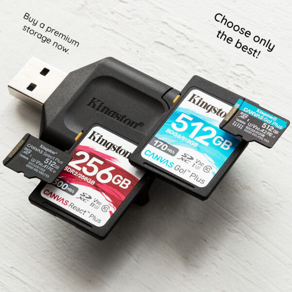 Card de Memorie cu Adaptor, 256GB Kingston Canvas Go Plus (SDCG3/256GB) Black - imagine 5