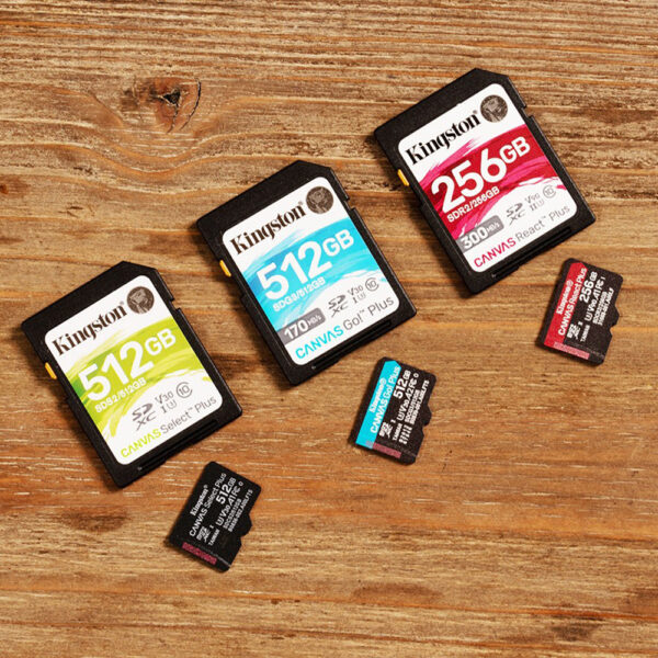 Card de Memorie cu Adaptor, 256GB Kingston Canvas Go Plus (SDCG3/256GB) Black - imagine 6